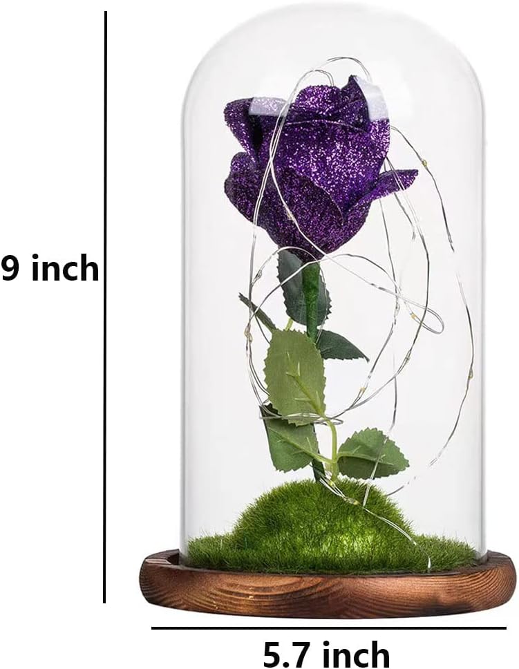 Adhifur: Purple Roses Dome Gift